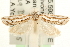  ( - MM11484)  @14 [ ] CreativeCommons - Attribution (2010) Unspecified Centre for Biodiversity Genomics