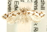  ( - MM11491)  @14 [ ] CreativeCommons - Attribution (2010) Unspecified Centre for Biodiversity Genomics