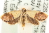  ( - MM15220)  @14 [ ] CreativeCommons - Attribution (2010) Unspecified Centre for Biodiversity Genomics