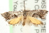  ( - MM15243)  @12 [ ] CreativeCommons - Attribution (2010) Unspecified Centre for Biodiversity Genomics
