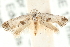  ( - MM15252)  @13 [ ] CreativeCommons - Attribution (2010) Unspecified Centre for Biodiversity Genomics