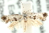 ( - MM15254)  @14 [ ] CreativeCommons - Attribution (2010) Unspecified Centre for Biodiversity Genomics