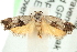  ( - MM15284)  @14 [ ] CreativeCommons - Attribution (2010) Unspecified Centre for Biodiversity Genomics