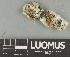  ( - H9247599)  @11 [ ] by-nc (2025) Erkka Laine Luomus