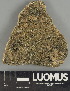  (Protoblastenia rupestris - H9247459)  @11 [ ] by-nc (2025) Erkka Laine Luomus
