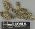  ( - H9247390)  @11 [ ] by-nc (2025) Erkka Laine Luomus