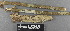  ( - H9243014)  @11 [ ] by-nc (2024) Erkka Laine Luomus