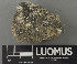  ( - H9235086.1)  @11 [ ] by-nc (2024) Erkka Laine Luomus