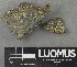  ( - H9243577)  @11 [ ] by-nc (2024) Erkka Laine Luomus