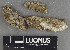  ( - H9247303)  @11 [ ] by-nc (2025) Erkka Laine Luomus