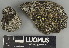  ( - H9247468)  @11 [ ] by-nc (2025) Erkka Laine Luomus