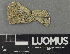  ( - H9243115)  @11 [ ] by-nc (2024) Erkka Laine Luomus