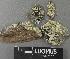  ( - H9243211)  @11 [ ] by-nc (2024) Erkka Laine Luomus