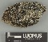  ( - H9247712)  @11 [ ] by-nc (2025) Erkka Laine Luomus