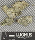 ( - H9247619)  @11 [ ] by-nc (2025) Erkka Laine Luomus