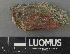  ( - H9243218)  @11 [ ] by-nc (2024) Erkka Laine Luomus