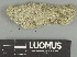  ( - H9247622)  @11 [ ] by-nc (2025) Erkka Laine Luomus