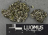  ( - H9243124)  @11 [ ] by-nc (2024) Erkka Laine Luomus