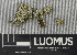  ( - H9243219)  @11 [ ] by-nc (2024) Erkka Laine Luomus