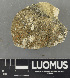  ( - H9235013.1)  @11 [ ] by-nc (2024) Erkka Laine Luomus