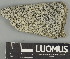  ( - H9247405)  @11 [ ] by-nc (2025) Erkka Laine Luomus