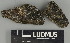  ( - H9247410)  @11 [ ] by-nc (2025) Erkka Laine Luomus