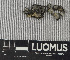  ( - H9243130)  @11 [ ] by-nc (2024) Erkka Laine Luomus