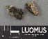  ( - H9243598)  @11 [ ] by-nc (2024) Erkka Laine Luomus