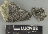  ( - H9238145.1)  @11 [ ] by-nc (2025) Erkka Laine Luomus