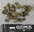  ( - H9243317)  @11 [ ] by-nc (2024) Erkka Laine Luomus