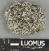  ( - H9247412)  @11 [ ] by-nc (2025) Erkka Laine Luomus