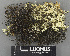  ( - H9243693)  @11 [ ] by-nc (2024) Erkka Laine Luomus