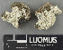  ( - H9243509)  @11 [ ] by-nc (2024) Erkka Laine Luomus