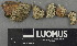  ( - H9243042)  @11 [ ] by-nc (2024) Erkka Laine Luomus