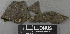  ( - H9243043)  @11 [ ] by-nc (2024) Erkka Laine Luomus