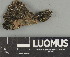  ( - H9247479)  @11 [ ] by-nc (2025) Erkka Laine Luomus