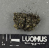  ( - H9243513)  @11 [ ] by-nc (2024) Erkka Laine Luomus