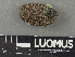  ( - H9243606)  @11 [ ] by-nc (2024) Erkka Laine Luomus