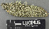  ( - H9243418)  @11 [ ] by-nc (2024) Erkka Laine Luomus