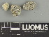  ( - H9247418)  @11 [ ] by-nc (2025) Erkka Laine Luomus