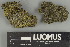  ( - H9237653.1)  @11 [ ] by-nc (2025) Erkka Laine Luomus