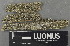  ( - H9243053)  @11 [ ] by-nc (2024) Erkka Laine Luomus