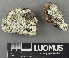  ( - H9243614)  @11 [ ] by-nc (2024) Erkka Laine Luomus