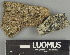  ( - H9247424)  @11 [ ] by-nc (2025) Erkka Laine Luomus