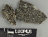  ( - H9247489)  @11 [ ] by-nc (2025) Erkka Laine Luomus