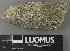  ( - H9243249)  @11 [ ] by-nc (2024) Erkka Laine Luomus