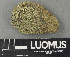  ( - H9243338)  @11 [ ] by-nc (2024) Erkka Laine Luomus