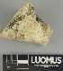  ( - H9247492)  @11 [ ] by-nc (2025) Erkka Laine Luomus
