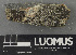  ( - H9243157)  @11 [ ] by-nc (2024) Erkka Laine Luomus