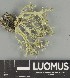  ( - H9247350)  @11 [ ] by-nc (2025) Erkka Laine Luomus